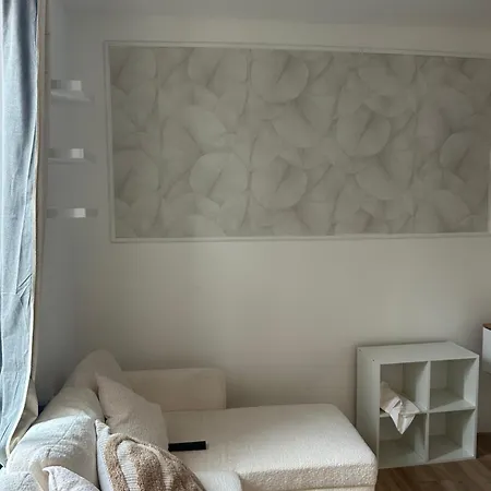 Luxury Apartment